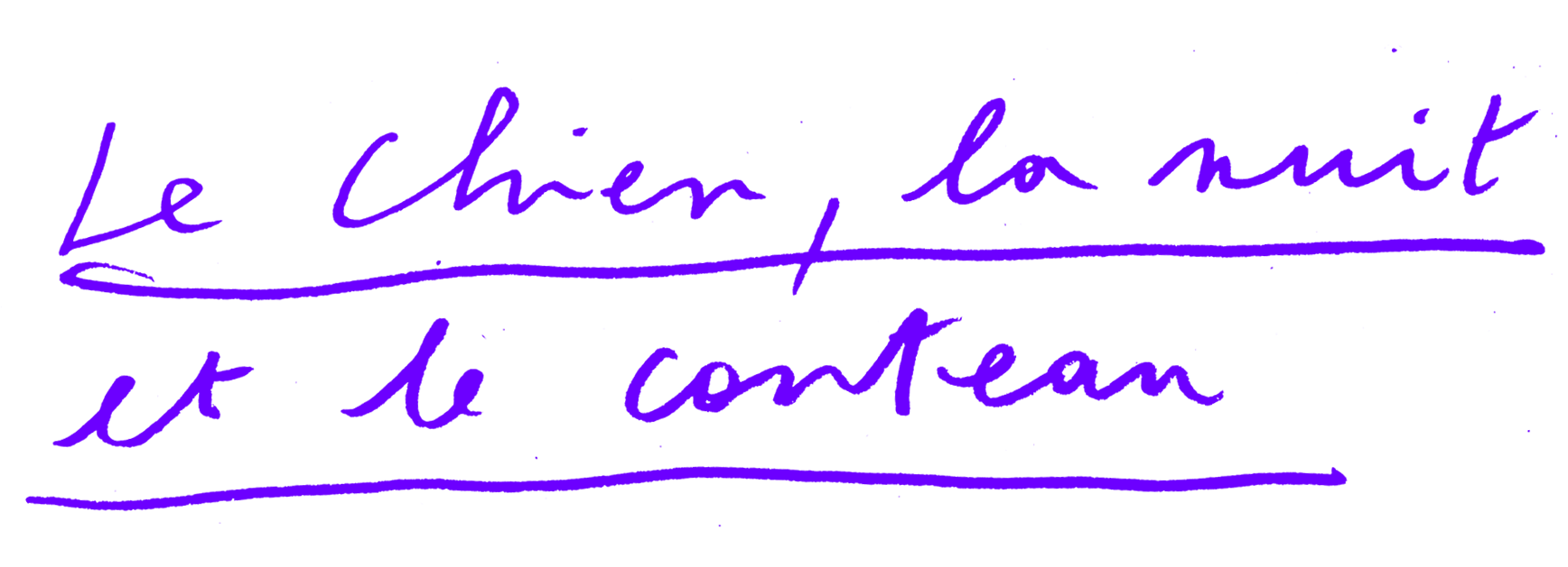 Le Chien, la nuit et le couteau